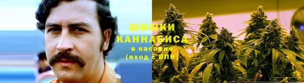 бутират Гусь-Хрустальный