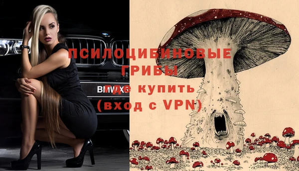 крисы Усинск