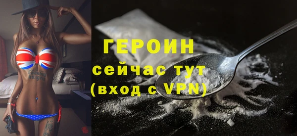 шишки Горняк