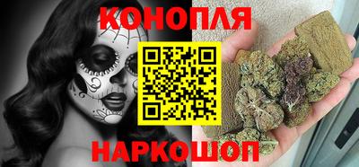 сатива Камышлов