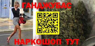 сатива Камышлов