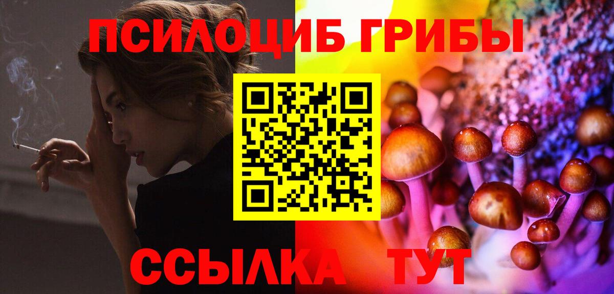 Псилоцибиновые грибы Magic Shrooms Осинники