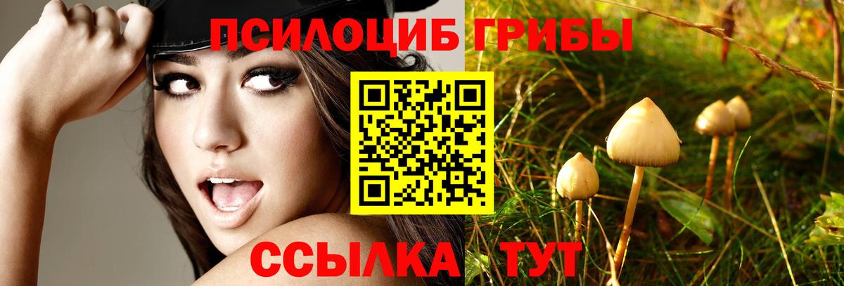 Псилоцибиновые грибы GOLDEN TEACHER  Вход с VPN  где купить   Осинники 